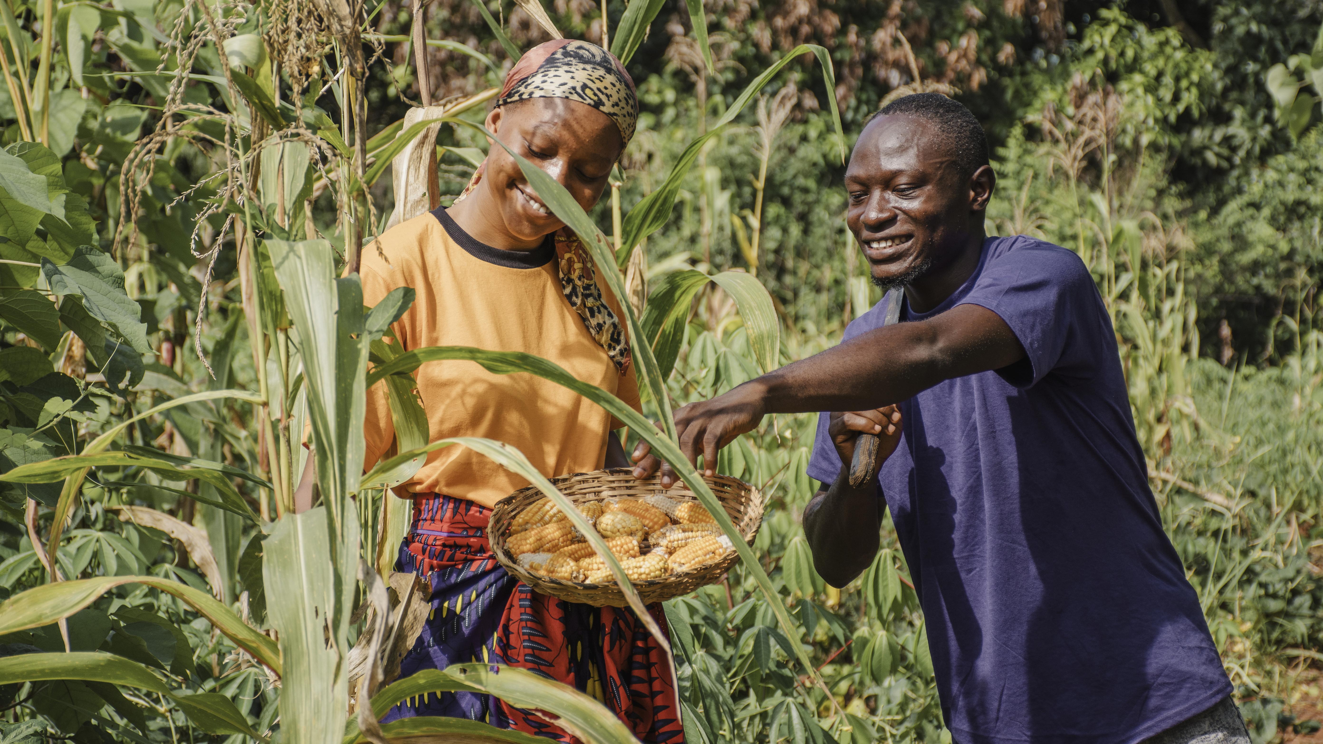 Agricultural Loan